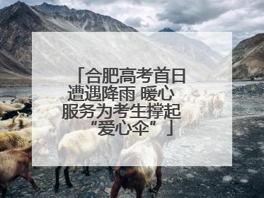 合肥高考首日遭遇降雨 暖心服务为考生撑起“爱心伞”