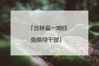 吉林省一地任免领导干部