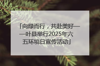 向绿而行，共赴美好——叶县举行2025年六五环境日宣传活动