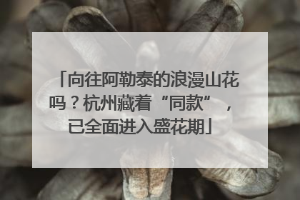 向往阿勒泰的浪漫山花吗？杭州藏着“同款”，已全面进入盛花期