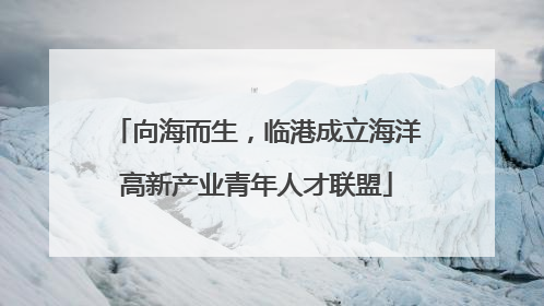 向海而生，临港成立海洋高新产业青年人才联盟