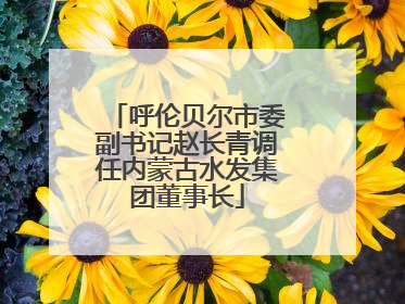 呼伦贝尔市委副书记赵长青调任内蒙古水发集团董事长