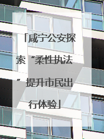 咸宁公安探索“柔性执法”提升市民出行体验