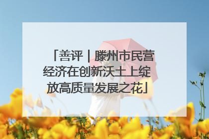 善评｜滕州市民营经济在创新沃土上绽放高质量发展之花
