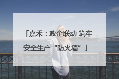 嘉禾：政企联动 筑牢安全生产“防火墙”