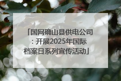 国网确山县供电公司：开展2025年国际档案日系列宣传活动