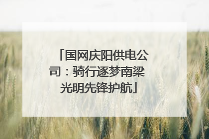 国网庆阳供电公司：骑行逐梦南梁 光明先锋护航