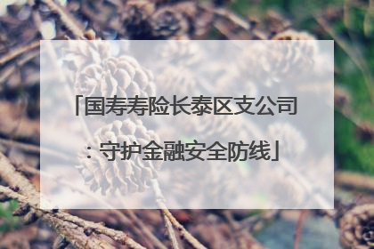 国寿寿险长泰区支公司：守护金融安全防线
