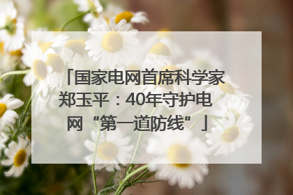 国家电网首席科学家郑玉平：40年守护电网“第一道防线”