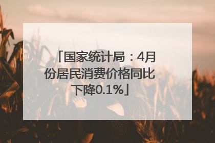 国家统计局：4月份居民消费价格同比下降0.1%