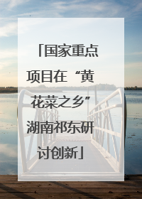 国家重点项目在“黄花菜之乡”湖南祁东研讨创新