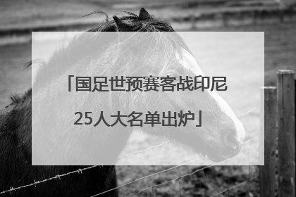 国足世预赛客战印尼25人大名单出炉