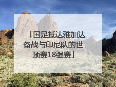 国足抵达雅加达备战与印尼队的世预赛18强赛