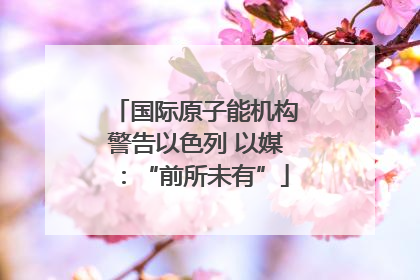 国际原子能机构警告以色列 以媒：“前所未有”