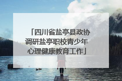 四川省盐亭县政协调研盐亭职校青少年心理健康教育工作