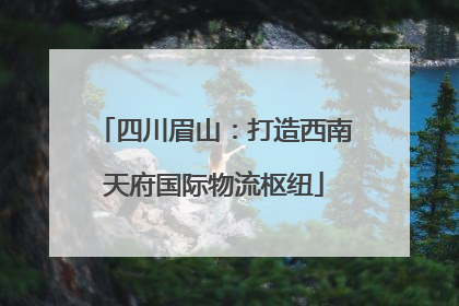 四川眉山：打造西南天府国际物流枢纽