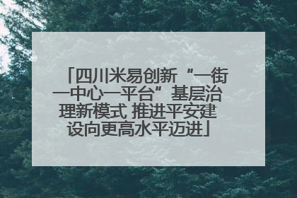 四川米易创新“一街一中心一平台”基层治理新模式 推进平安建设向更高水平迈进