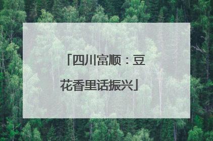 四川富顺：豆花香里话振兴
