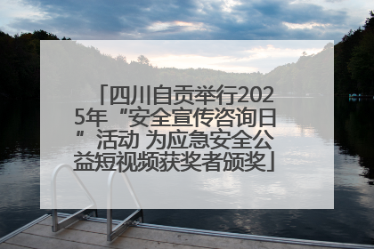 四川自贡举行2025年“安全宣传咨询日”活动 为应急安全公益短视频获奖者颁奖