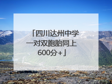 四川达州中学一对双胞胎同上600分+