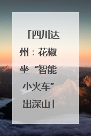 四川达州：花椒坐“智能小火车”出深山