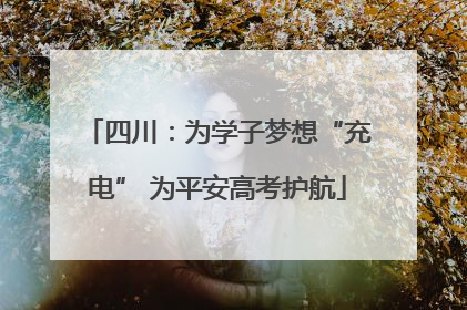 四川：为学子梦想“充电” 为平安高考护航