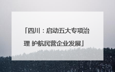 四川：启动五大专项治理 护航民营企业发展