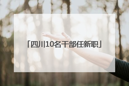 四川10名干部任新职