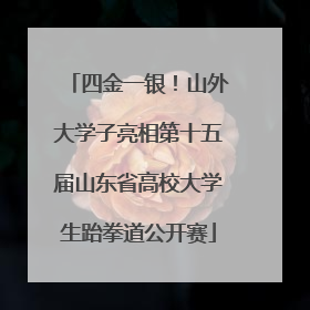 四金一银！山外大学子亮相第十五届山东省高校大学生跆拳道公开赛