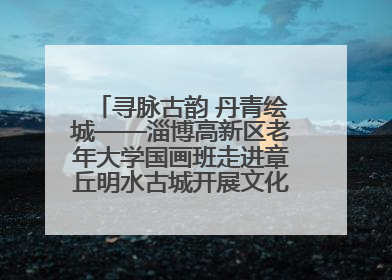 寻脉古韵 丹青绘城——淄博高新区老年大学国画班走进章丘明水古城开展文化研学活动