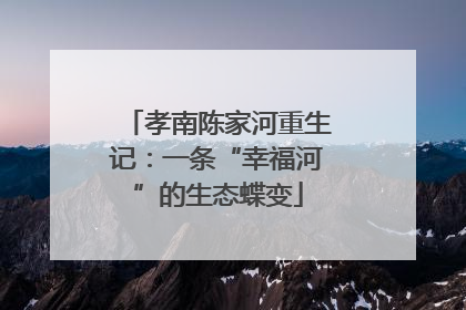 孝南陈家河重生记：一条“幸福河”的生态蝶变