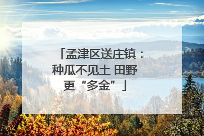 孟津区送庄镇：种瓜不见土 田野更“多金”