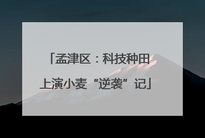 孟津区：科技种田 上演小麦“逆袭”记