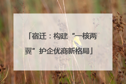 宿迁：构建“一核两翼”护企优商新格局