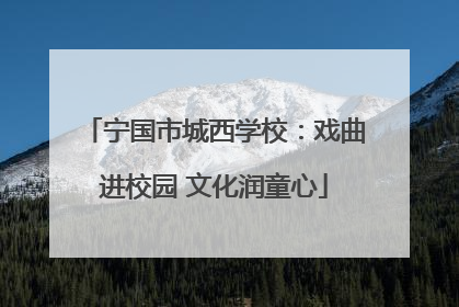 宁国市城西学校：戏曲进校园 文化润童心