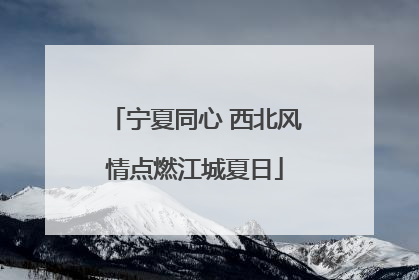 宁夏同心 西北风情点燃江城夏日