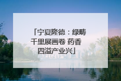 宁夏隆德：绿畴千里展画卷 药香四溢产业兴