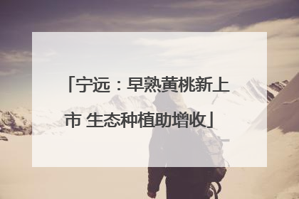 宁远：早熟黄桃新上市 生态种植助增收