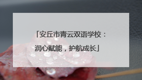 安丘市青云双语学校：润心赋能，护航成长