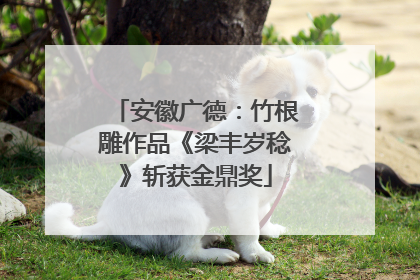 安徽广德：竹根雕作品《梁丰岁稔》斩获金鼎奖