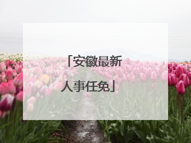 安徽最新人事任免