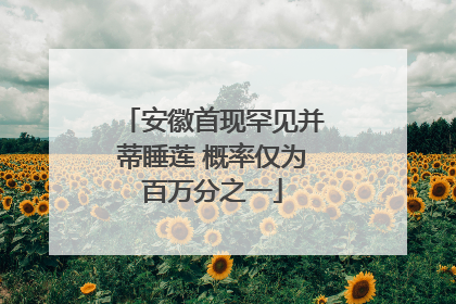 安徽首现罕见并蒂睡莲 概率仅为百万分之一