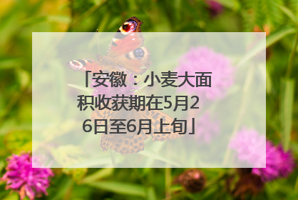 安徽：小麦大面积收获期在5月26日至6月上旬