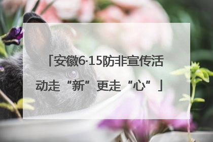 安徽6·15防非宣传活动走“新”更走“心”