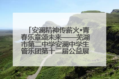 安澜精神传薪火•青春乐章颂未来——芜湖市第二中学安澜中学生管乐团第十二届公益展演圆满举行