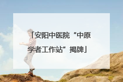 安阳中医院“中原学者工作站”揭牌