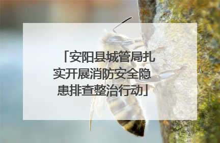 安阳县城管局扎实开展消防安全隐患排查整治行动
