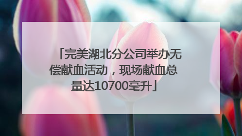 完美湖北分公司举办无偿献血活动，现场献血总量达10700毫升