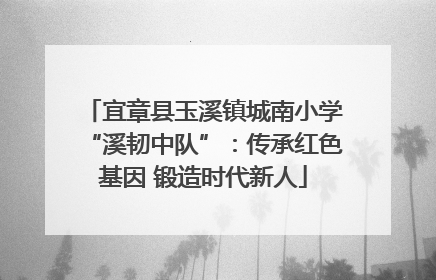 宜章县玉溪镇城南小学“溪韧中队”：传承红色基因 锻造时代新人