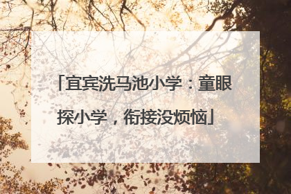 宜宾洗马池小学：童眼探小学，衔接没烦恼